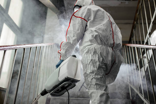 Best Residential Mold Inspection & Testing  in Dauphin, PA